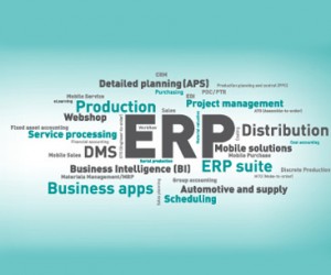 erp